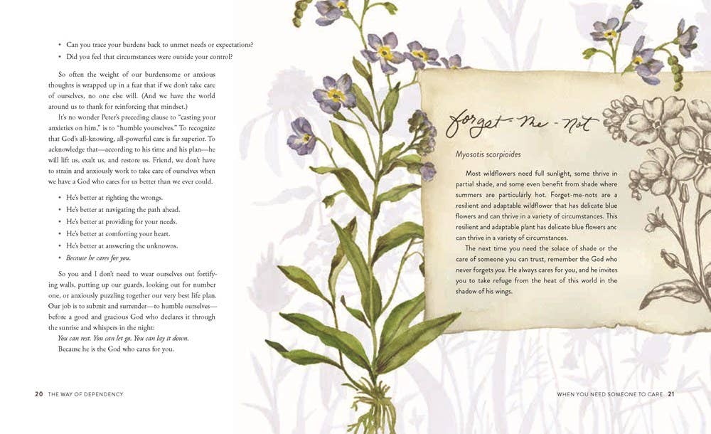 HarperCollins Christian Publishing - Wholesale Religion Book - The Way of the Wildflower : Gospel Meditations to Unburden Y8
