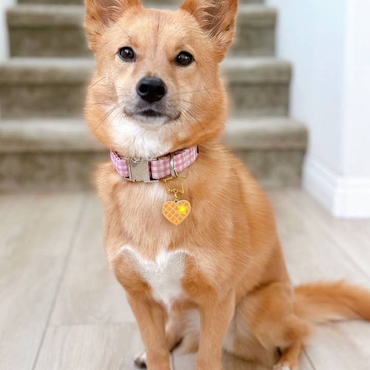 Pleione Creative - Wholesale Pet identification tag – Cat/dog - Waffle Heart Enamel Pet ID Tag2