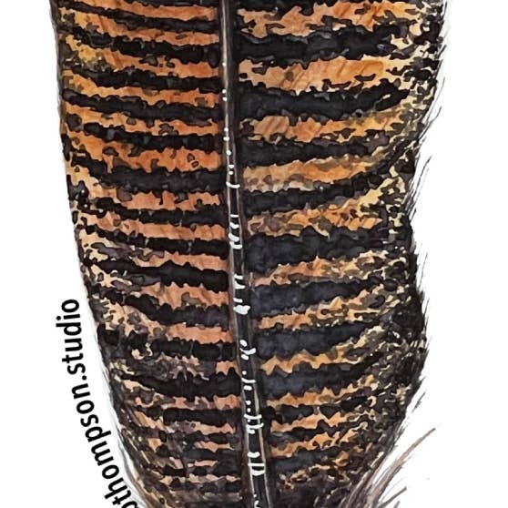 Broad Bloom – wholesale Sticker – Turkey Feather Sticker1