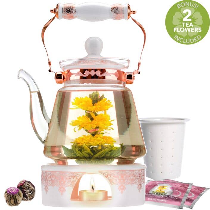 Teabloom Stovetop & Microwave Safe Glass Teapot (40 OZ / 1.2 L) with  Removable L