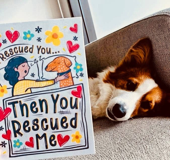 Scoff Paper - Vendita all'ingrosso Snack - Cani - Carte commestibili per cani + Penne con esposizione POS di Scoff Paper5