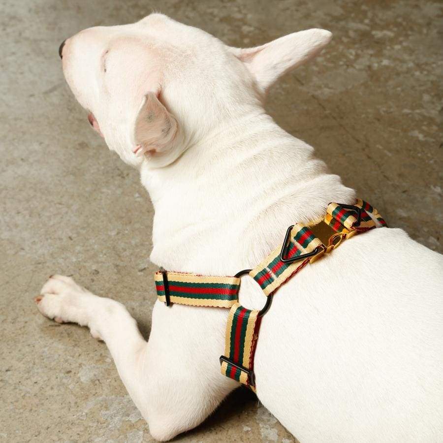 Saint Rue - Wholesale Pet Harness - Dog - Le Classic Dog Harness13