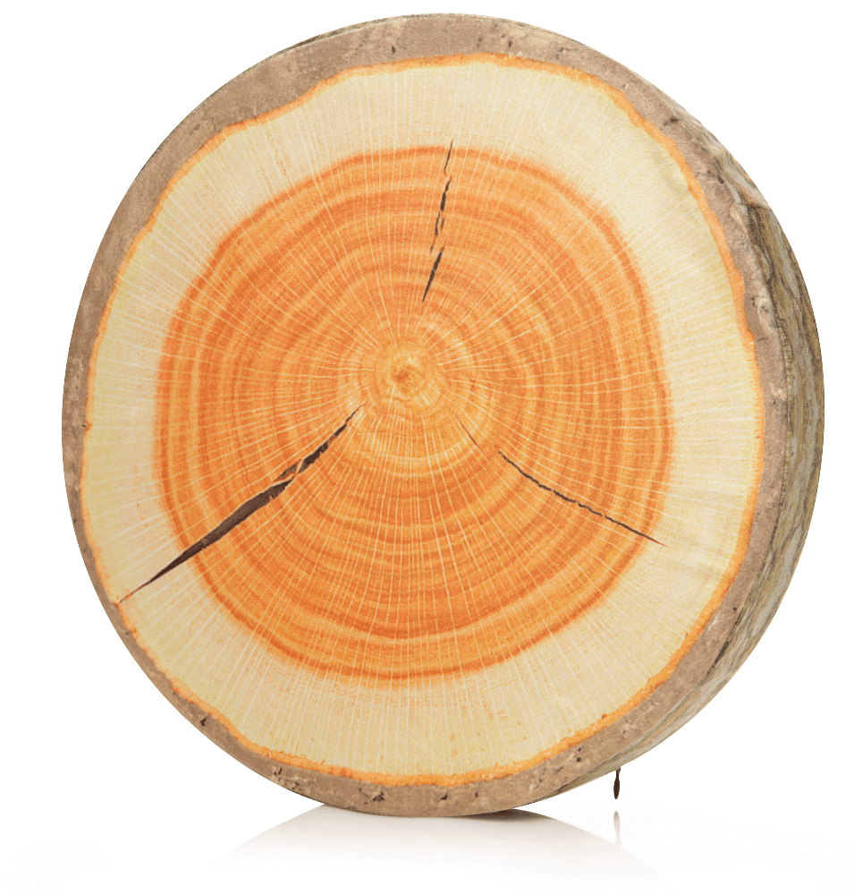 Husband Pillow - Vendita all'ingrosso Cuscini per letto - 360 - FETTA-REGISTRO-MAPL2