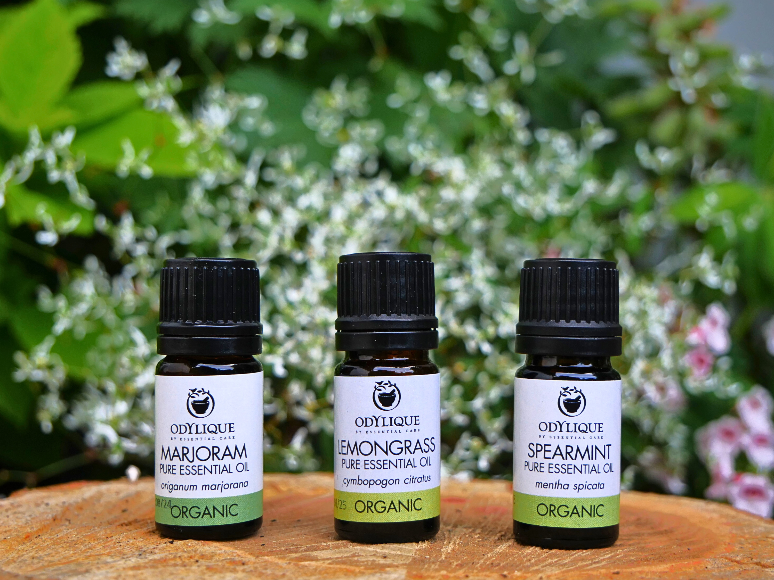 Odylique – wholesale Essential oil – Organic Essential Oils24