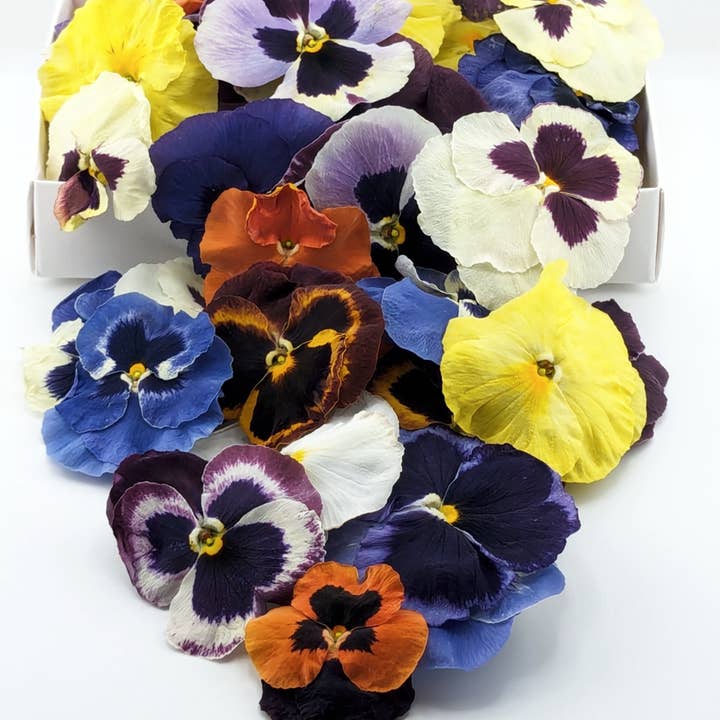 Freshly Preserved - Wholesale Cake/Cupcake Topper - Freeze-dried Edible Pansies3