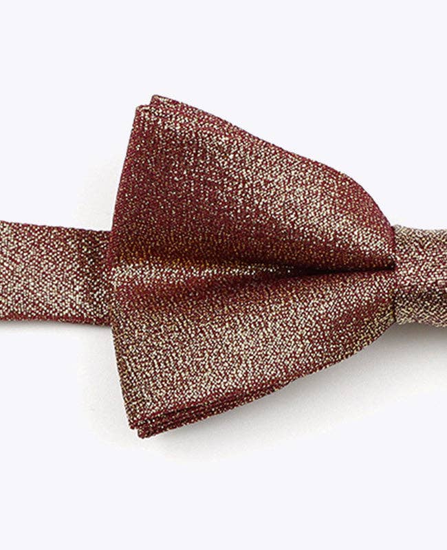 Unipap's – wholesale Flugor – Barn – Brun Glittrig Fluga nr 2 Barn i Polyester "Isidore"2