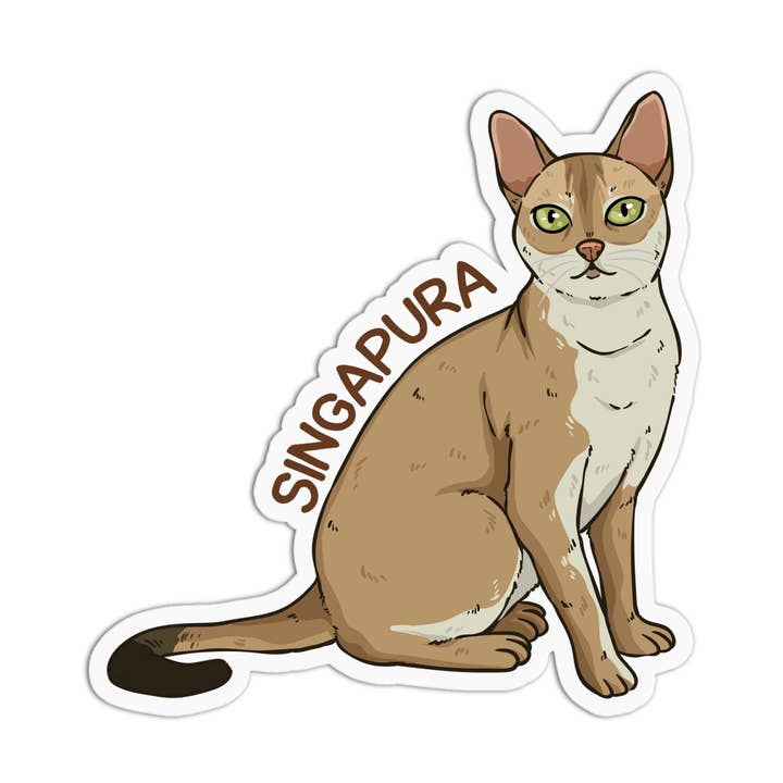 Autocollant imperméable en vinyle Cat Singapura pour la vente par Girls Printing House