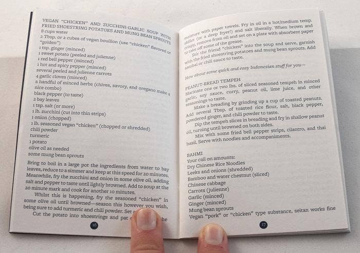 Microcosm Publishing & Distribution - Vente Cuisine et gastronomie - Fire & Ice : Recettes végétaliennes de Hot & Soul (Zine)2