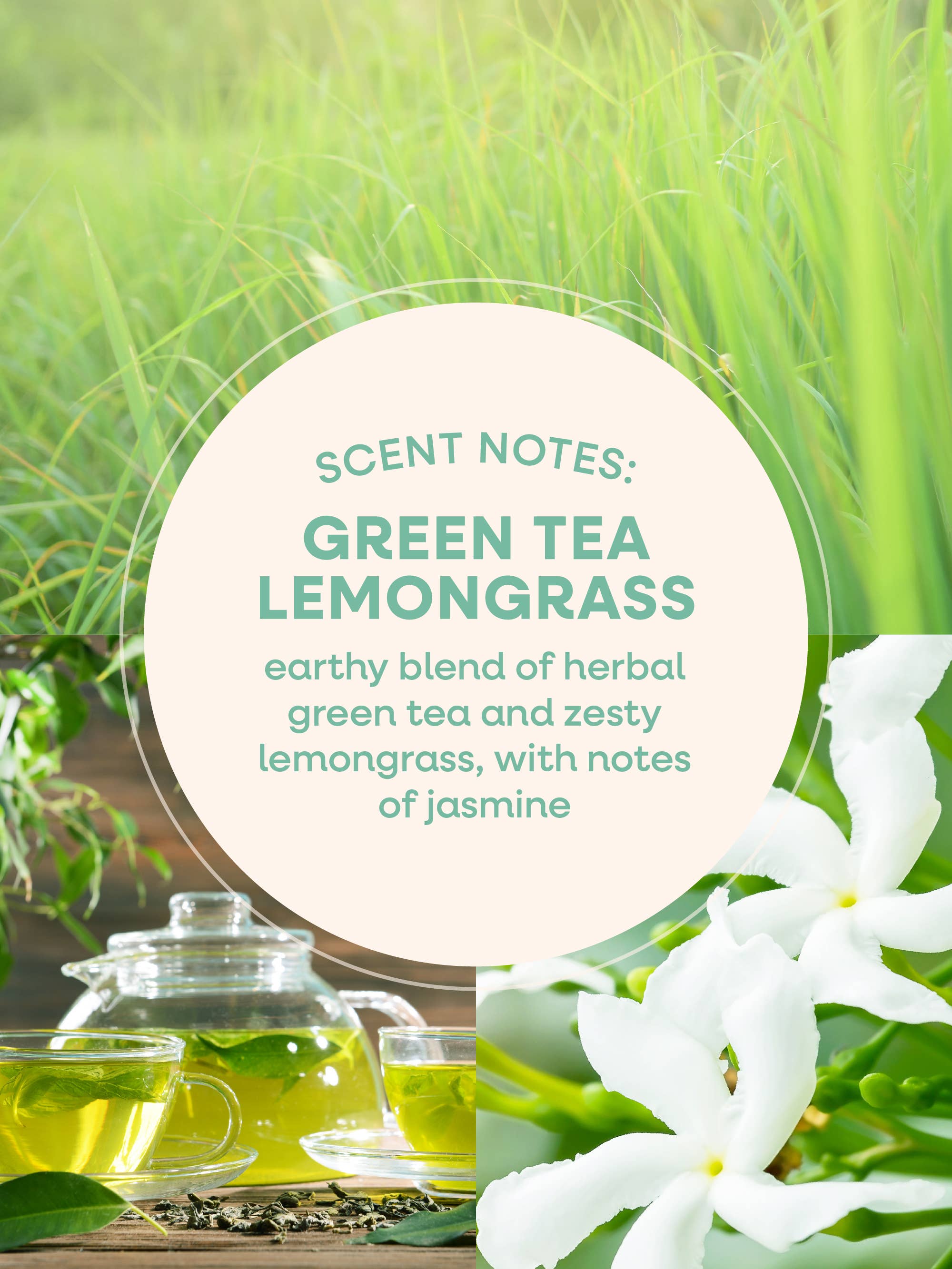 ARCHd - Wholesale Jar/Filled Candle - Smells Like Banned Books Candle5