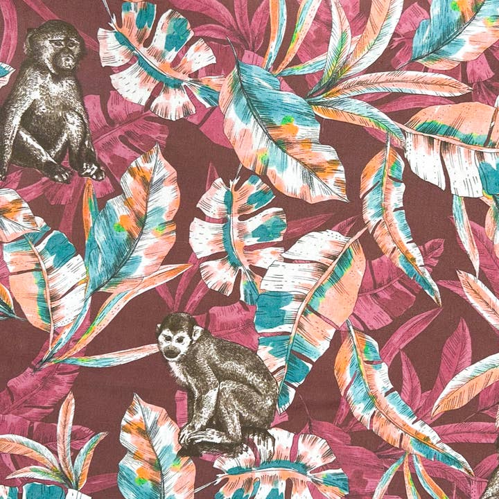 Frimousse Dog - Wholesale Pet Collar - Dog - “Vinny” adjustable dog collar1