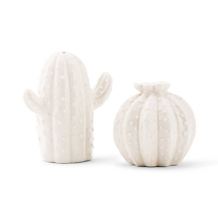 Weddingstar Inc. - Wholesale Salt & Pepper Shaker Set - Novelty Cactus Salt & Pepper Shakers
