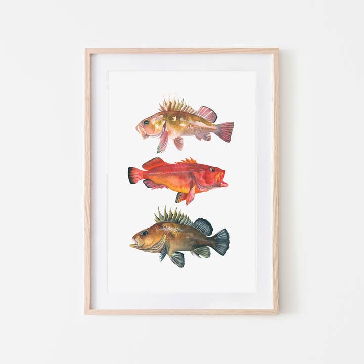 Rockfish Art Print for wholesale by Broken Paddle Studio