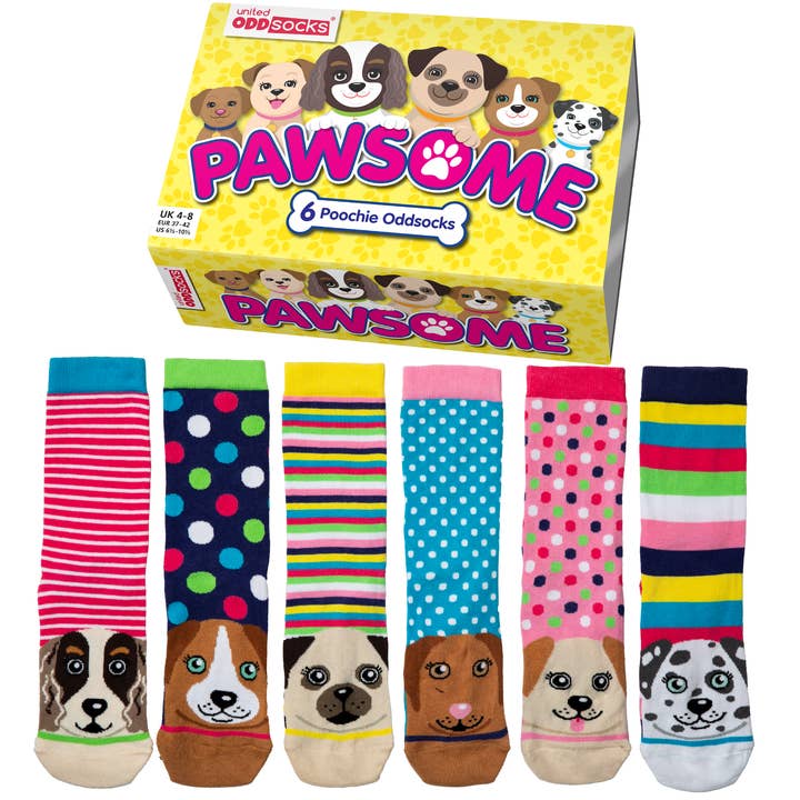 Sock Academy - Wholesale Socks - Unisex - PAWSOME | 6 Odd Socks Gift Box - United Oddsocks