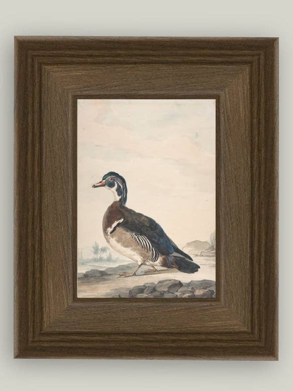 A Duck Framed Antique Art for wholesale by Petal Lane Home