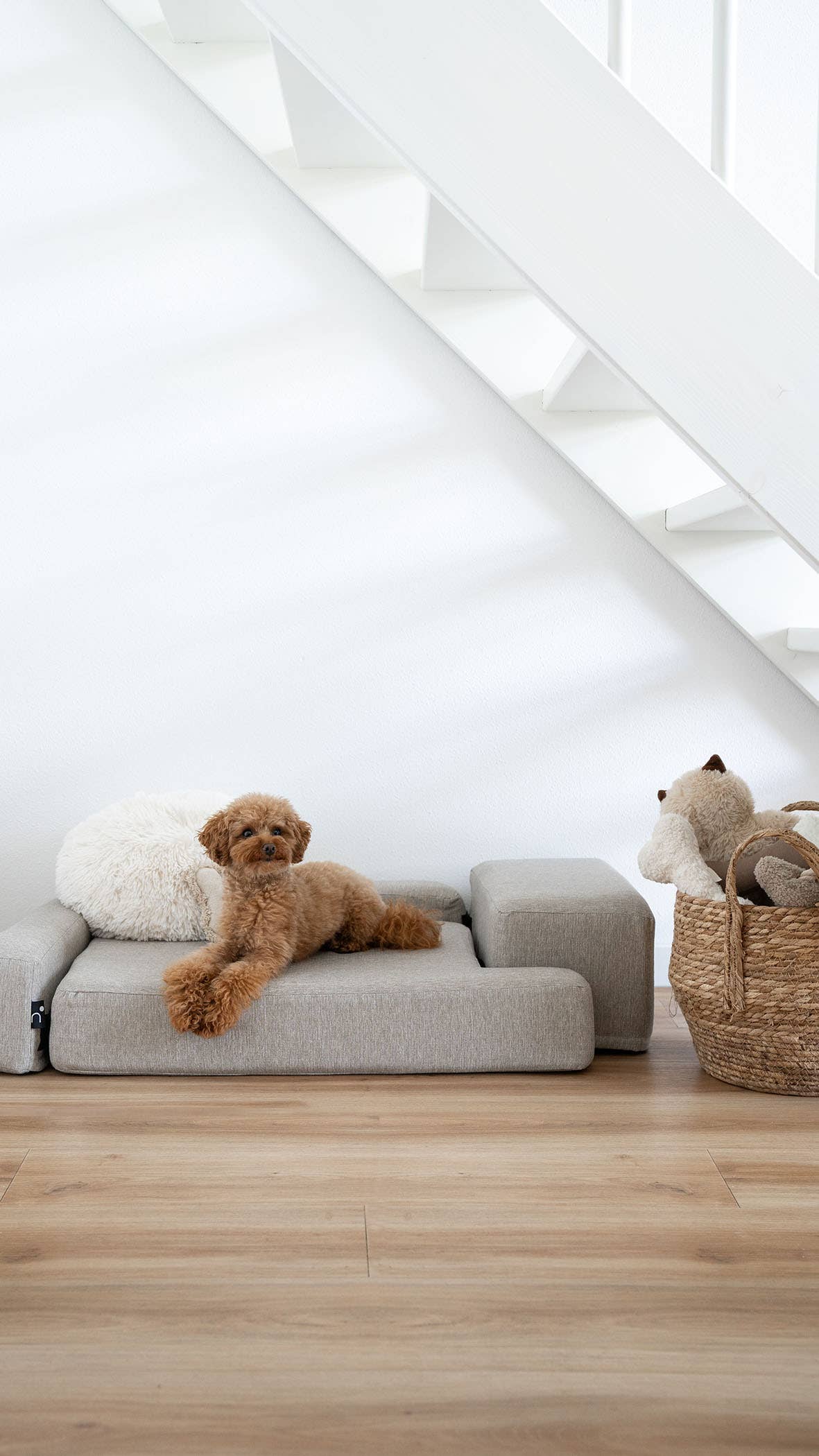 VOL DOG - Wholesale Pet Bed - Dog - Sofa Dog Bed Othopedic7