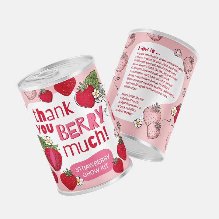 Alphabet Gifts - Wholesale Zaadjes voor platten - Dank Je Aardbei Veel! – Aardbeien Kweekset Cadeau1