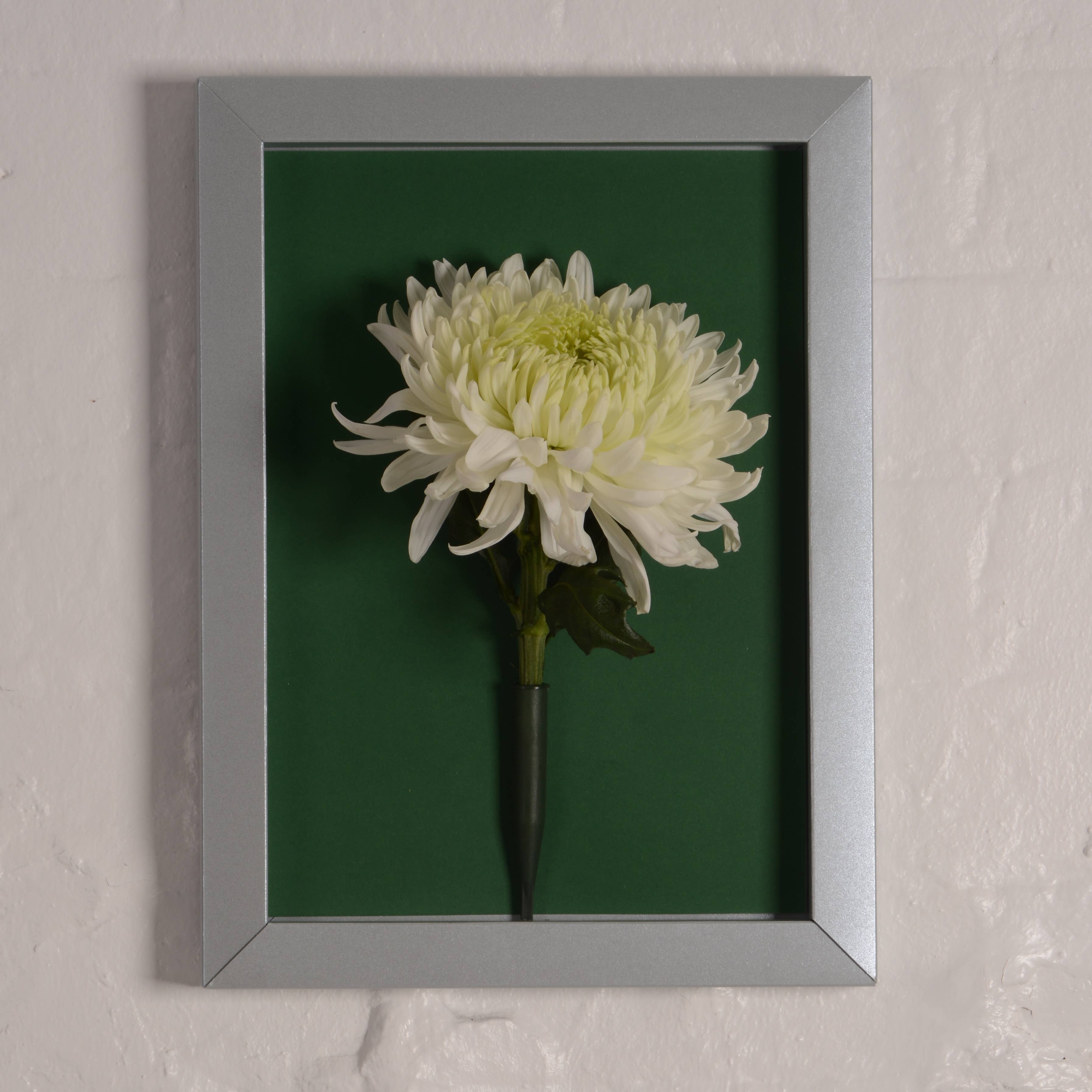 Pop-up Frames - Wholesale Picture Frame - SMALL Pop-up Picture Frame | Multi-size 15cm-30cm | Stick-on29