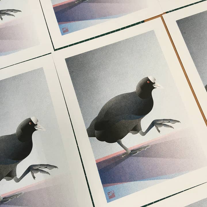 VrijFormaat - Wholesale Art Print - riso print - Coot - Bird art print - A4