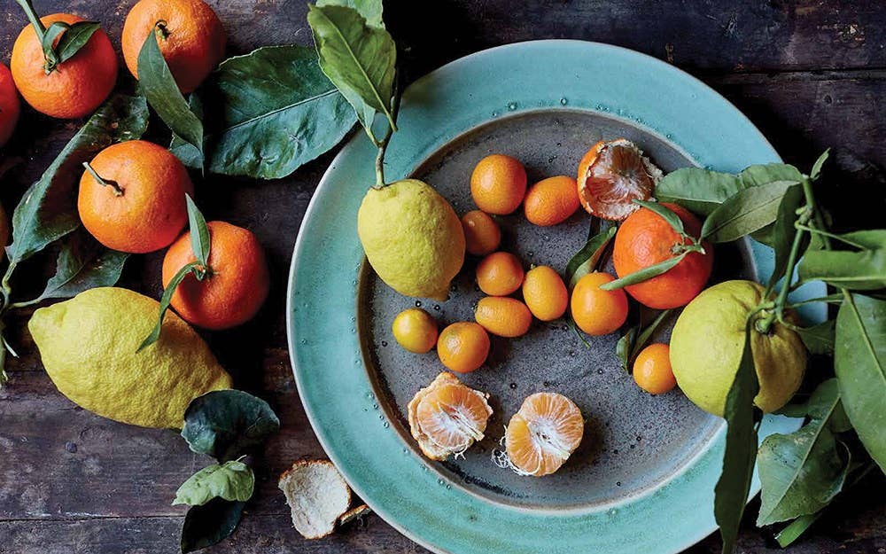 Independent Publishers Group - Wholesale Cookbooks & Food - Cyprus Cuisine16