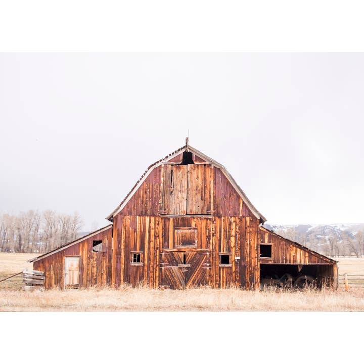 Forvitret træ for engroshandel hos Laurie Childs Photography