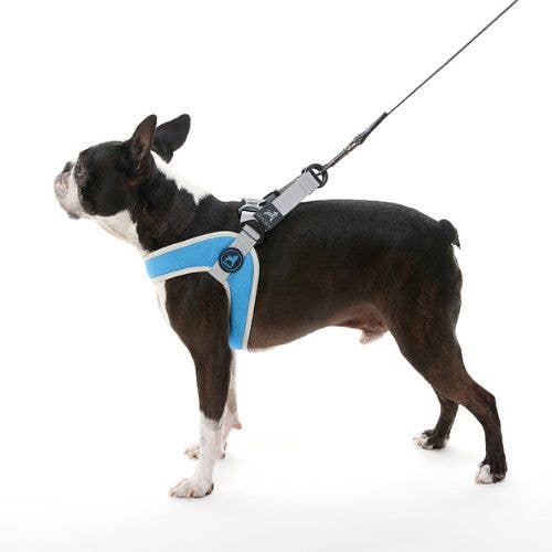 Gooby - Wholesale Pet Harness - Dog - #04844 - Simple Step-In Harness III