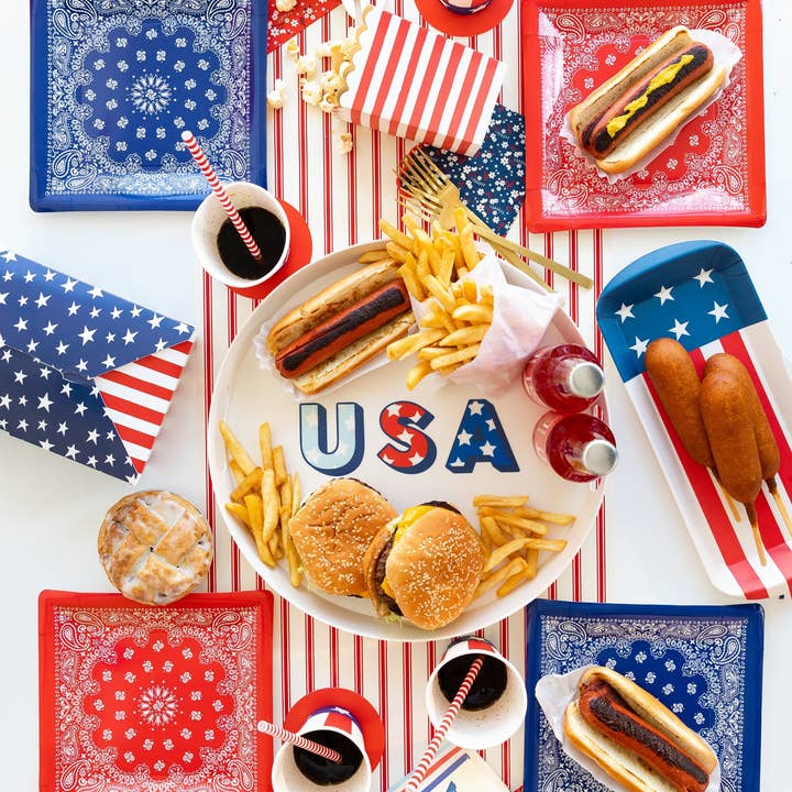 My Mind’s Eye - Wholesale Disposable Plate - PLTS366R-MME - Blue Bandana Paper Plate4