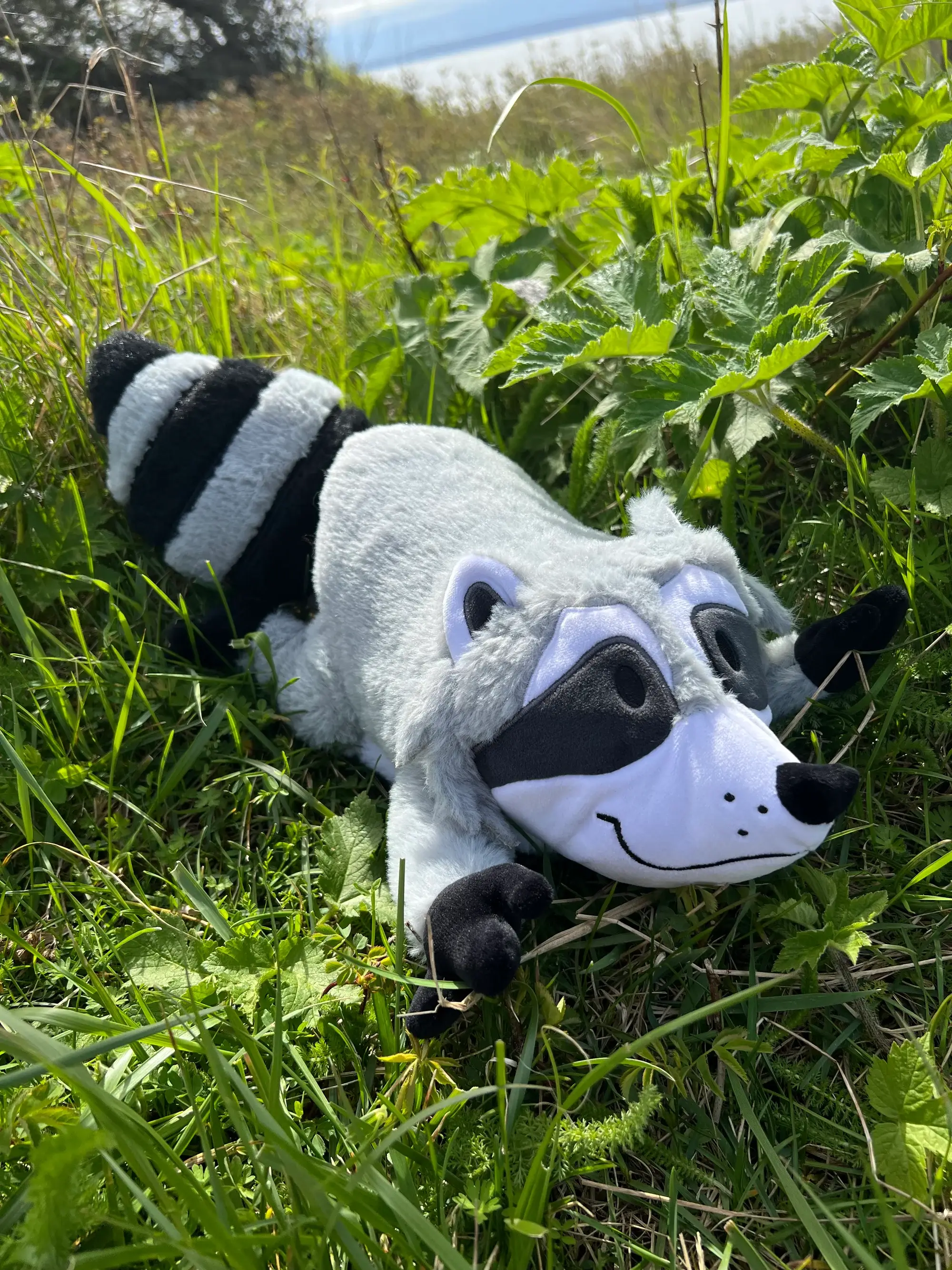 Roamin' Bison Workshop - Wholesale Stuffed/Plush Toy - Kids & Baby - Weighted Raccoon | Weighted Plushie | Raccoon Plush3