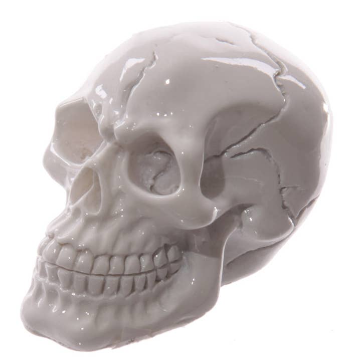 Puckator Ltd - Wholesale Ornament - Gruesome Small Skull Decorations