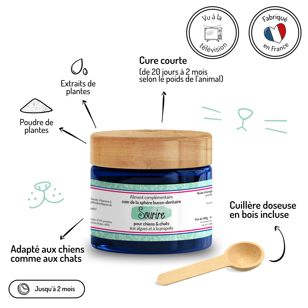 Truffe & Moustache - Wholesale Voedingssupplementen voor huisdieren - Kat/Hond - Anti-tar en frisse adem - Voedingssupplement voor honden en katten1