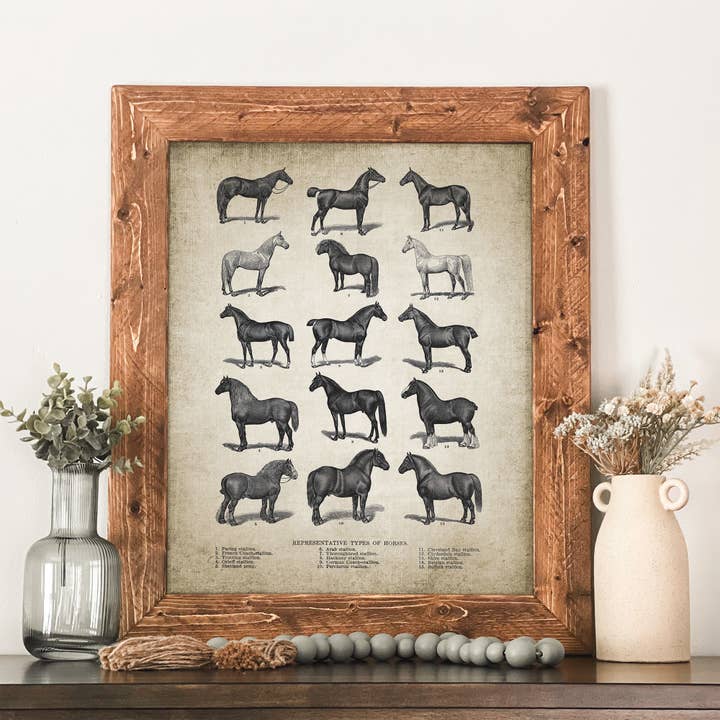 Horse Breeds Chart Framed Wall Art Vintage Equestrian for wholesale by Swinford Designs