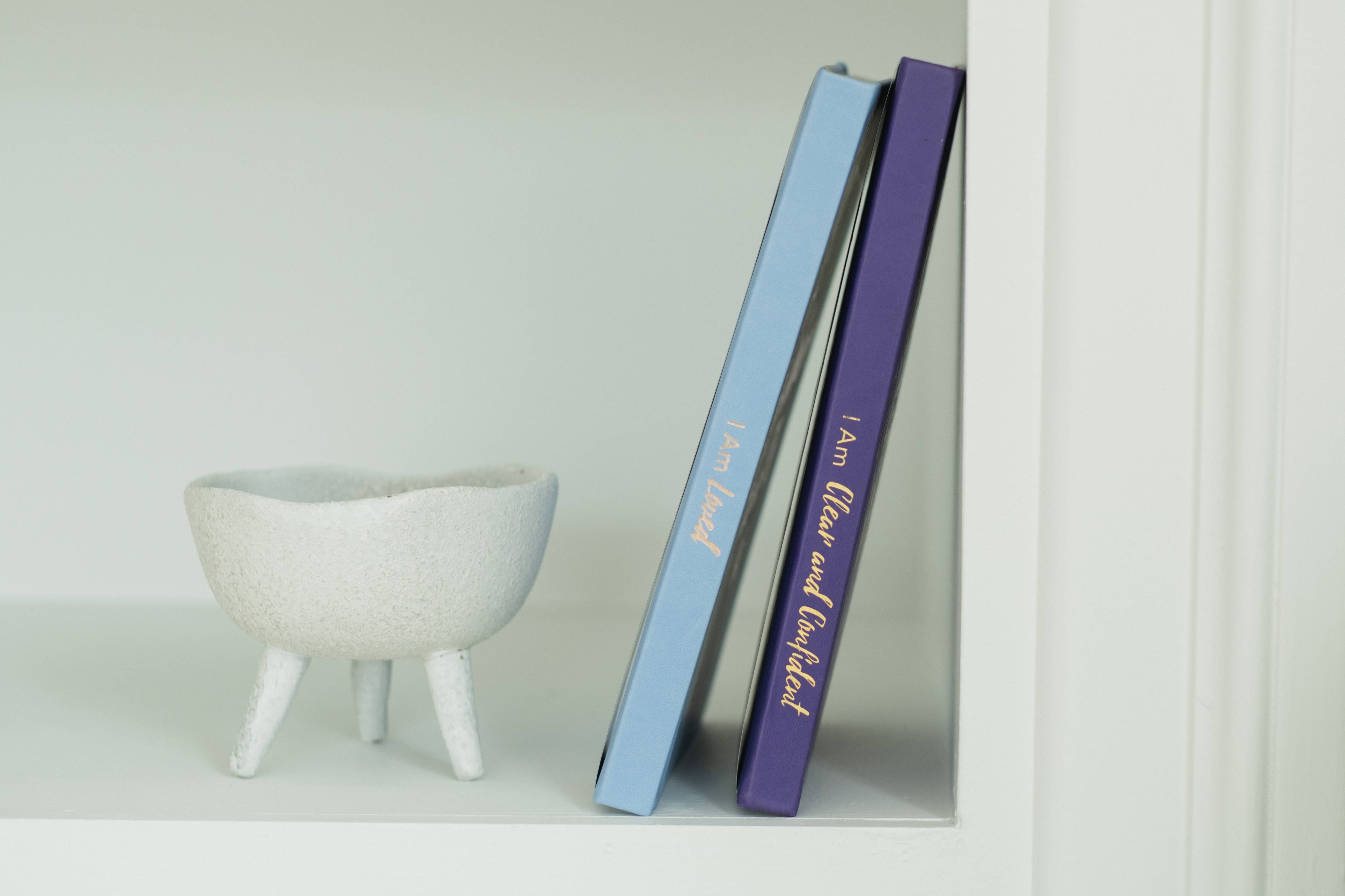 PleaseNotes Goods - Affirmation-Filled Goods - Wholesale Journal/Diary - The Guided Clarity Journal for Confidence9