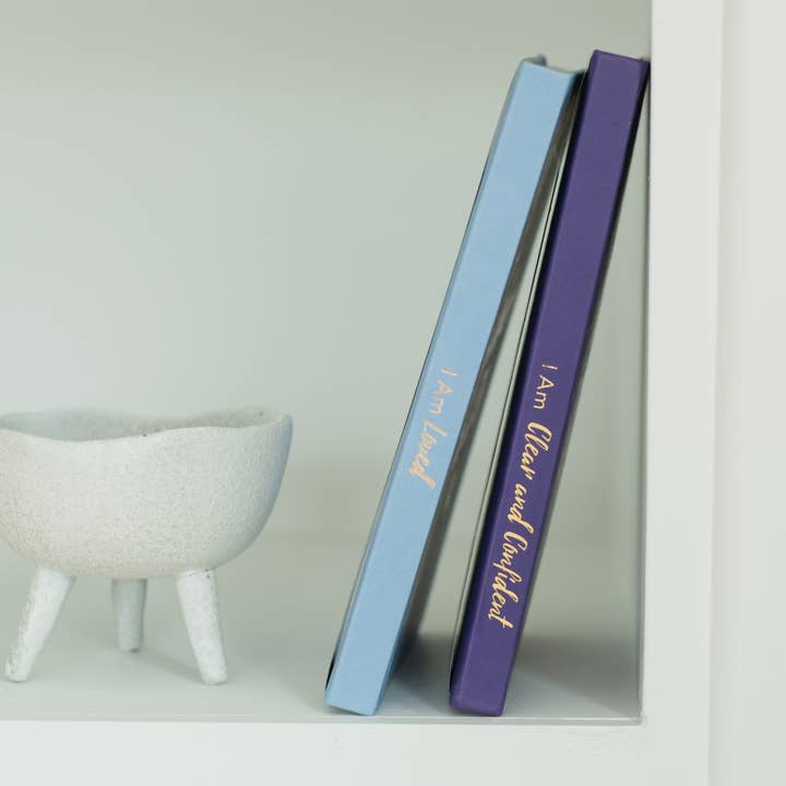 PleaseNotes Goods - Affirmation-Filled Goods - Wholesale Journal/Diary - The Guided Clarity Journal for Confidence9