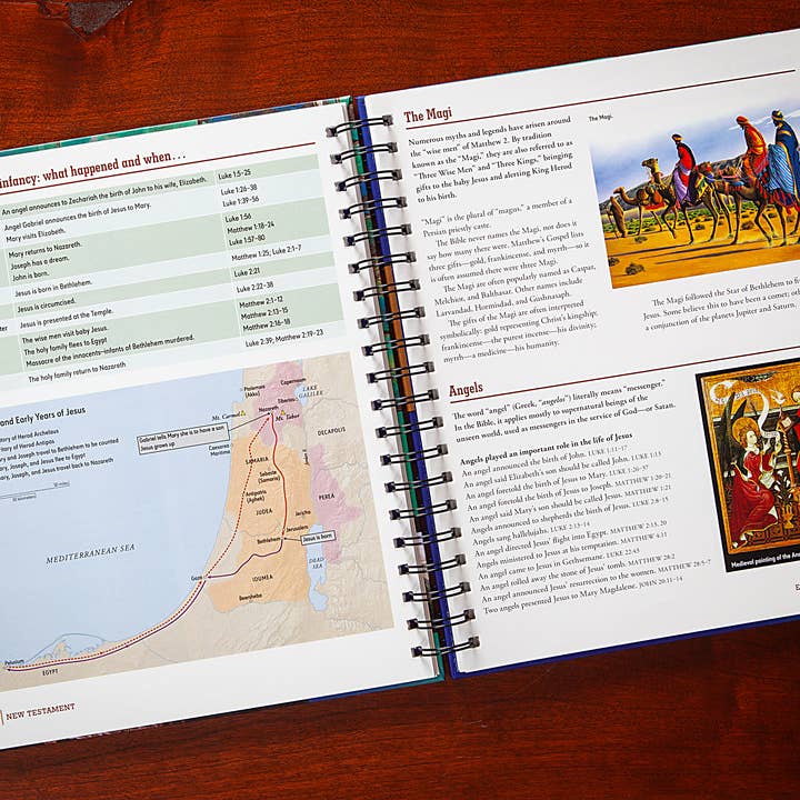 BroadStreet Publishing Group, LLC - Wholesale Religion - The Everything Bible (Ultimate Collection of Bible Facts)2