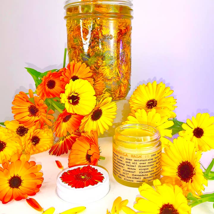 Plant Makeup - Vendita all'ingrosso Unguenti/Balsami/Creme curative - Balsamo di Calendula1