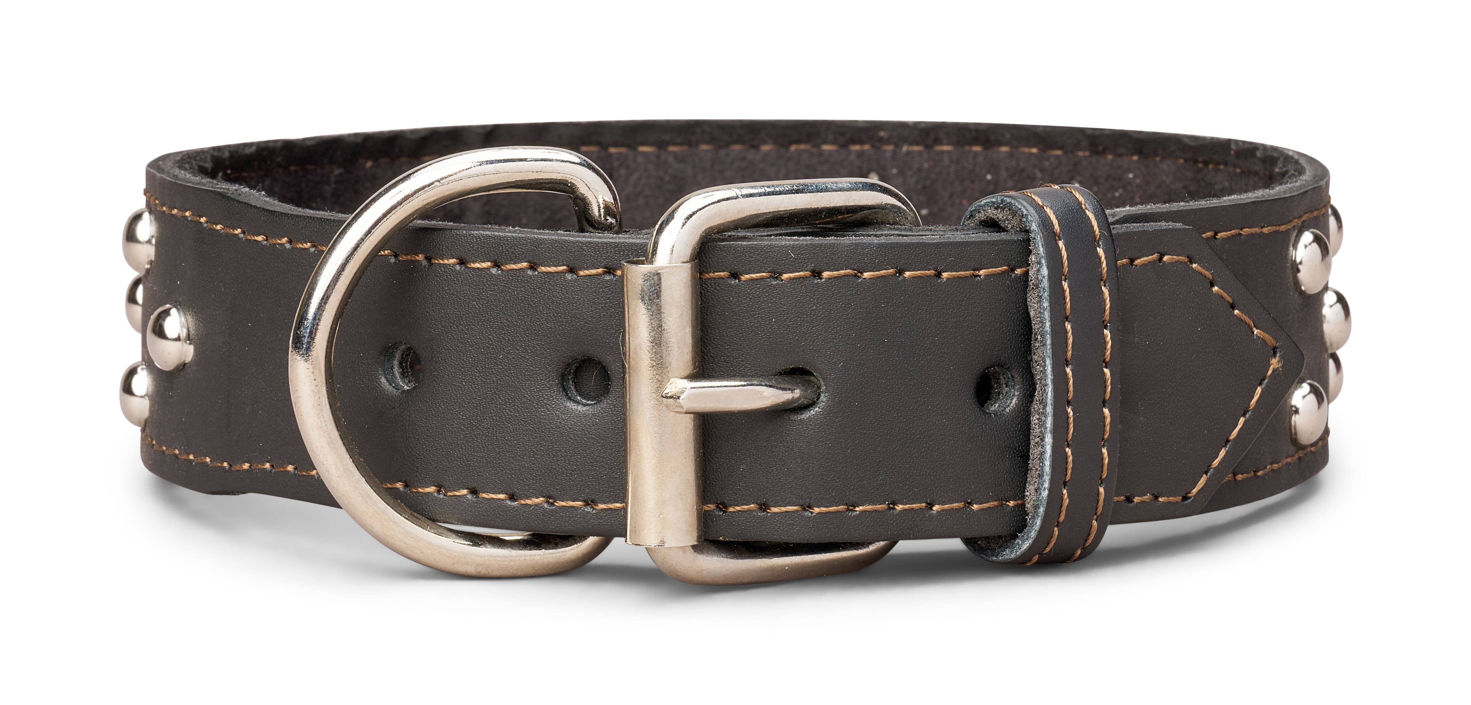 TOP DOG BRAND INC – Großhandel Haustierhalsband – Hund – 1 3/4 Zoll breite Lederhalsbänder mit Nieten11