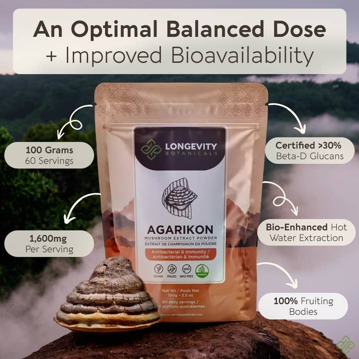 Longevity Botanicals - Wholesale Protein/Superfood Powder - Organic Agarikon Mushroom Extract Powder 100g