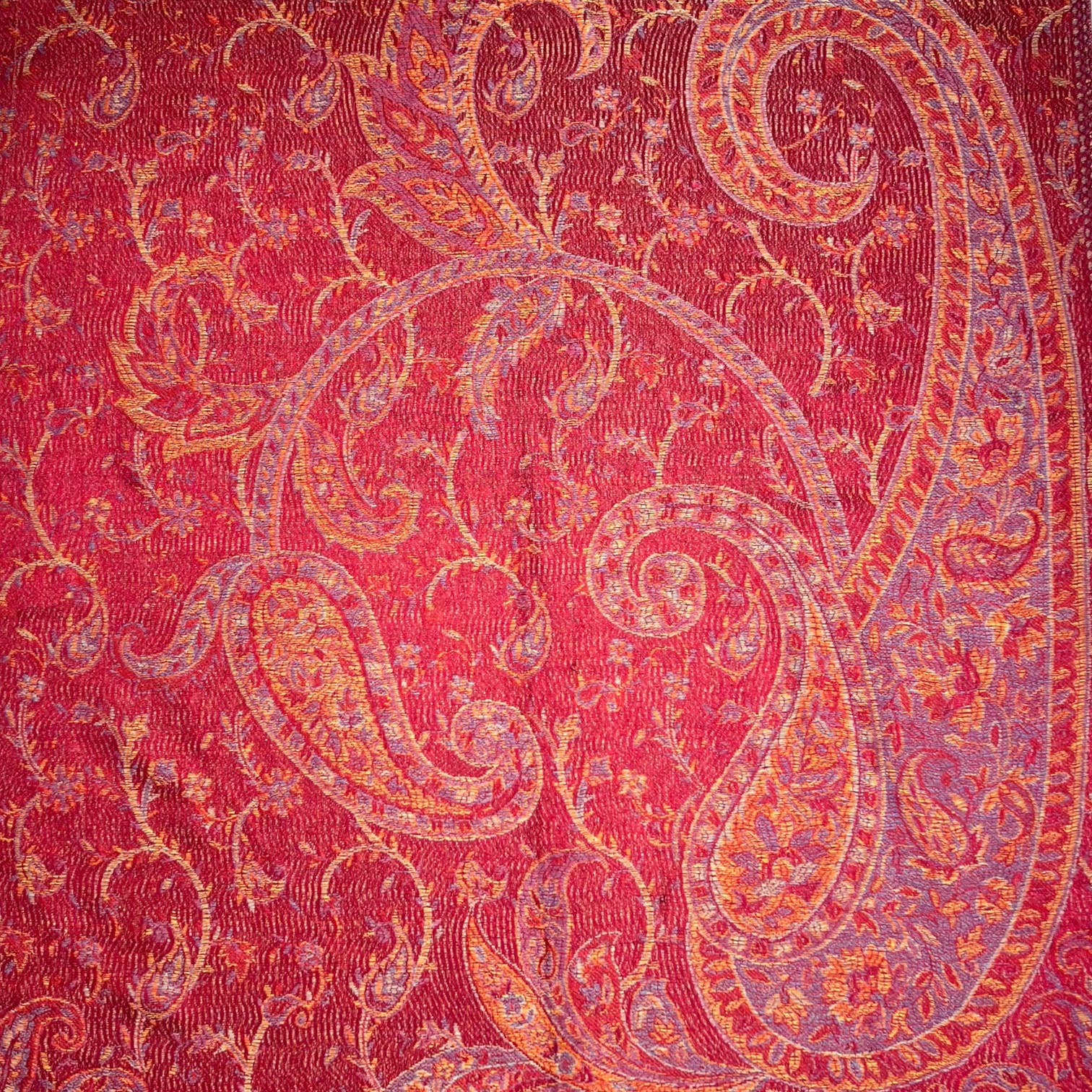 London Scarves - Vendita all'ingrosso Sciarpa - Donna - Pashmina jacquard con stampa paisley e frange11