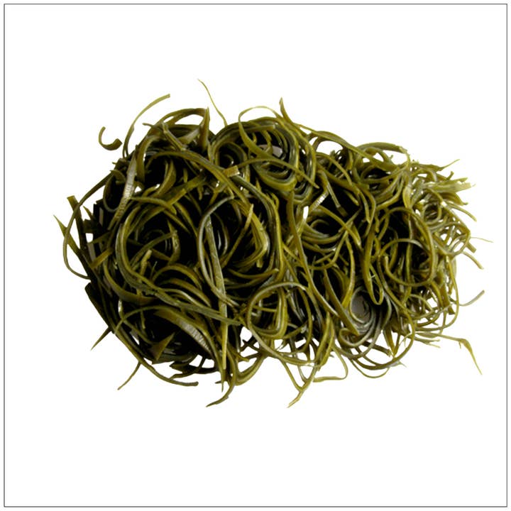 Alive Herbals - Wholesale Herbs - Kelp Slices0