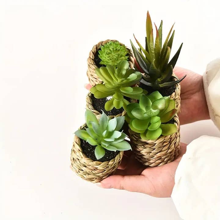 Huis Van Merken - Wholesale Succulent - Artificial Succulents Set - Potted Plants, Indoor/Outdoor Decor1