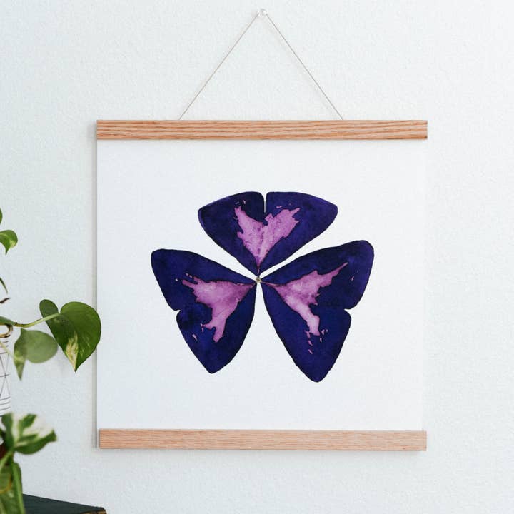 False Shamrock Houseplant Art Print for wholesale by Come Alive Studio