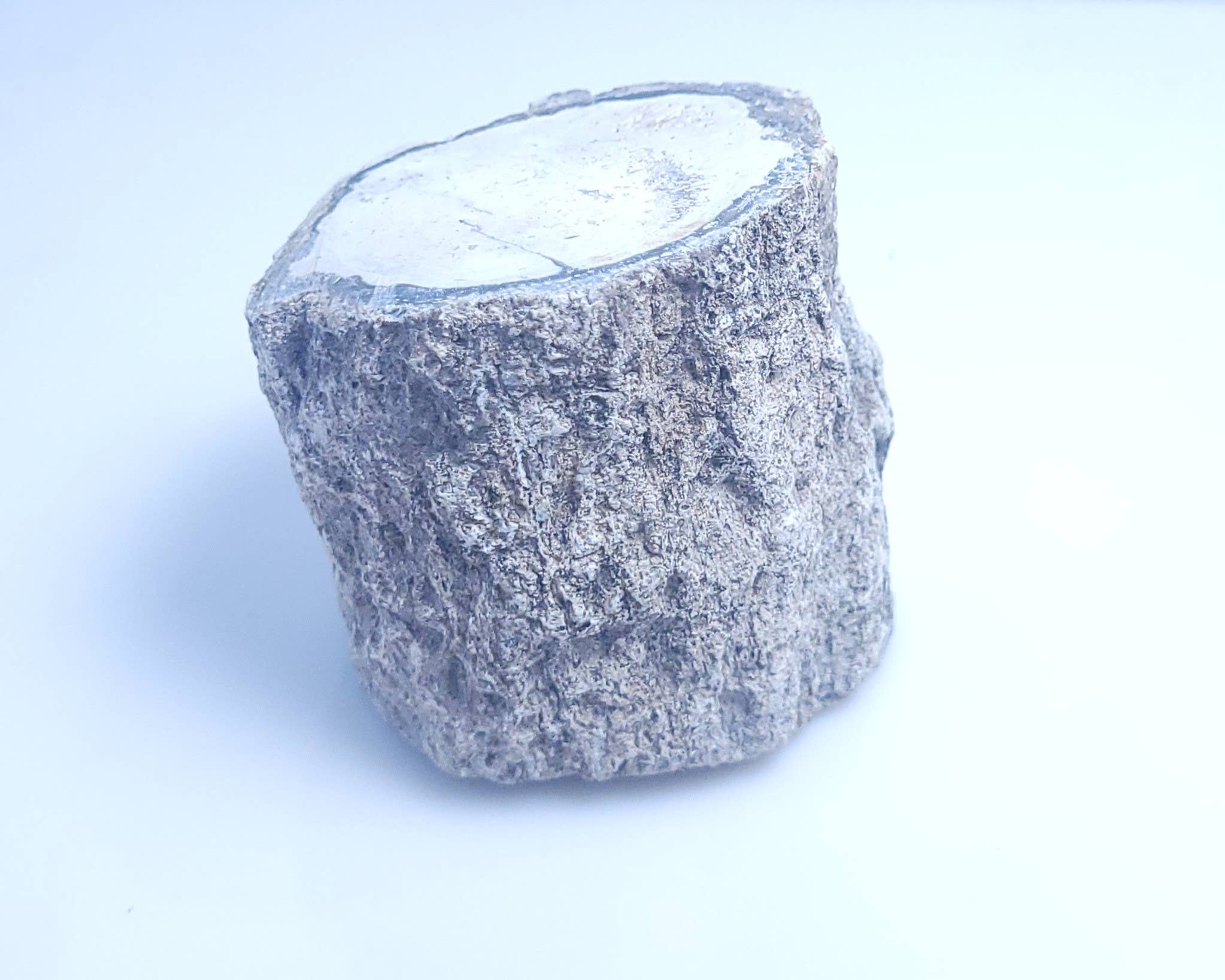 WLM - Wholesale Spiritual Stone/Crystal - Fossil Wood 350 G