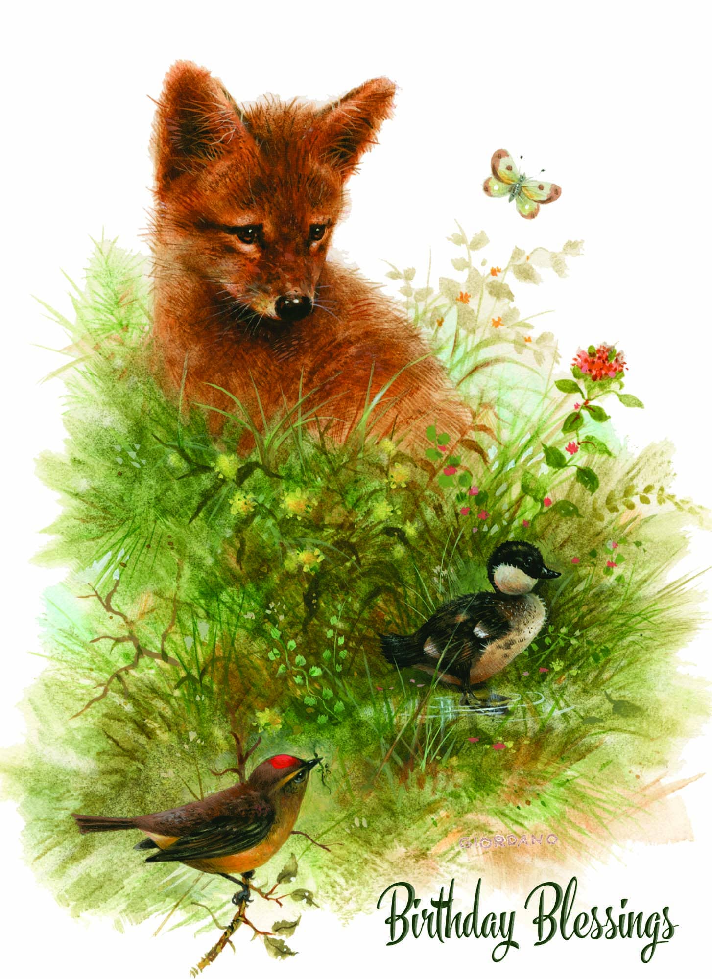 Crown Point Graphics - Vente Cartes d'anniversaire - Cartes d'anniversaire religieuses - Petite faune | 12 cartes8