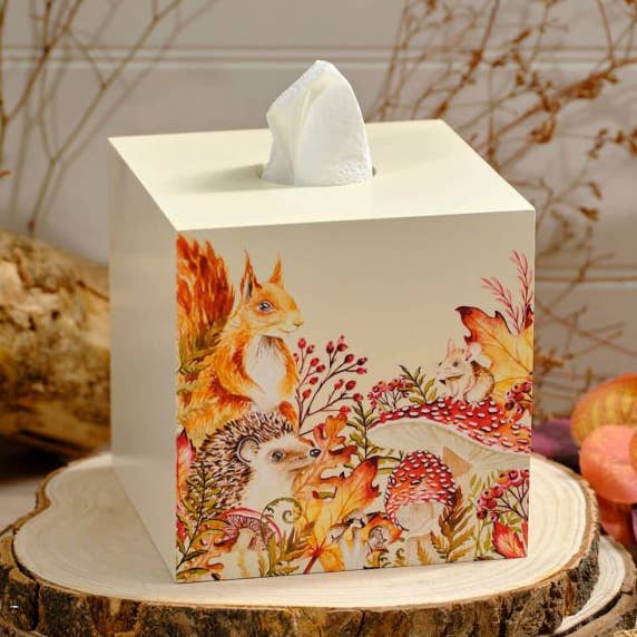 Toadstool Tales Tissue Box With Woodland Animals for wholesale by Langs