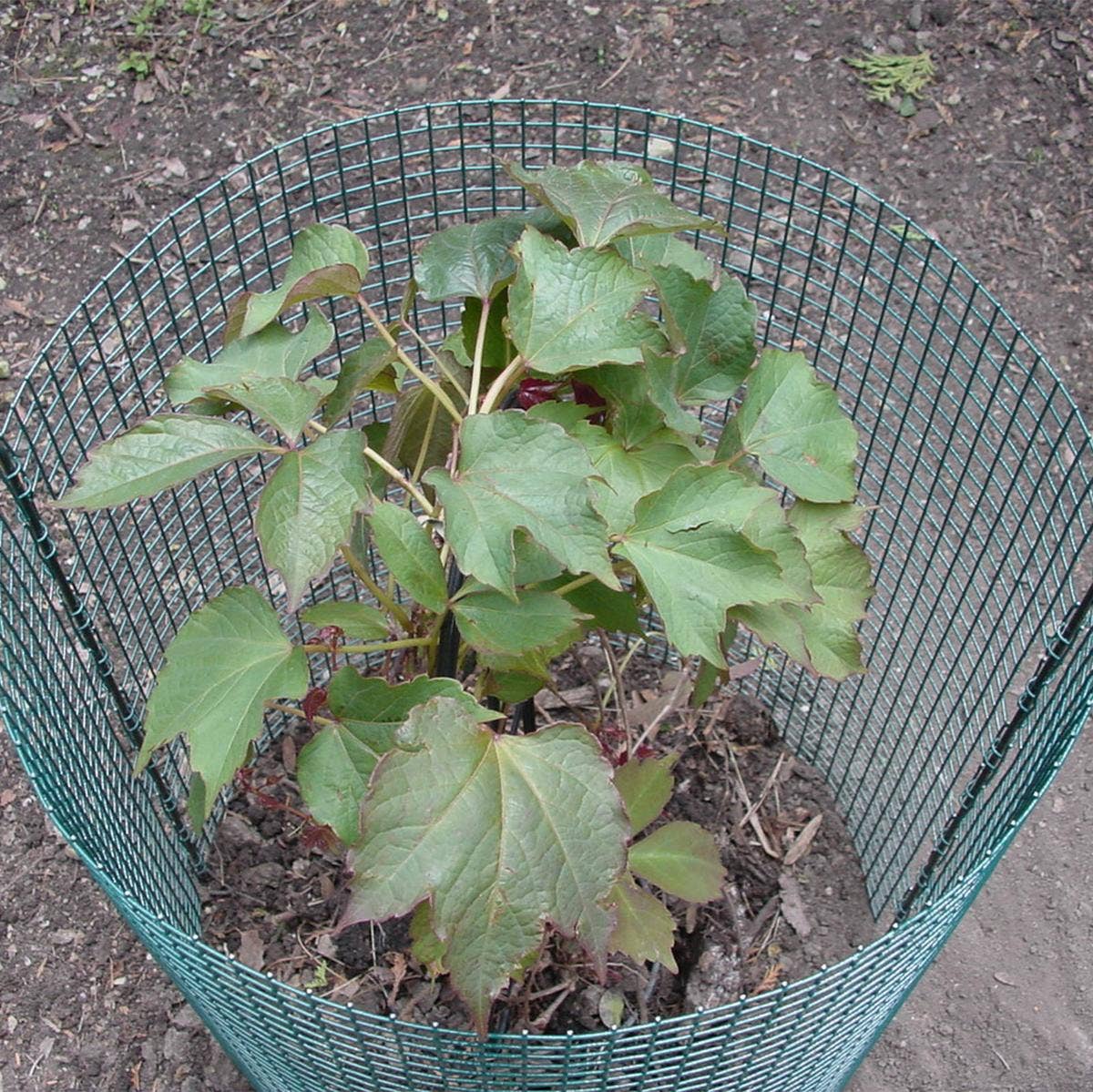 Flipo Group, Ltd. - Wholesale Outdoor Ornament/Decor - 12-Foot Expandable Modular Garden Fencing System4