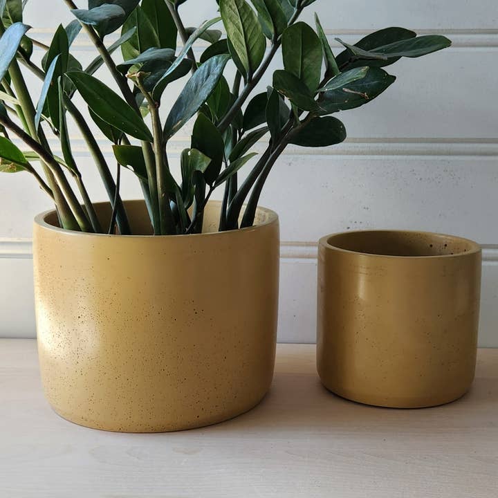 Cylinder Planter- 5" and 7" Mustard for wholesale by Plant 'er Here