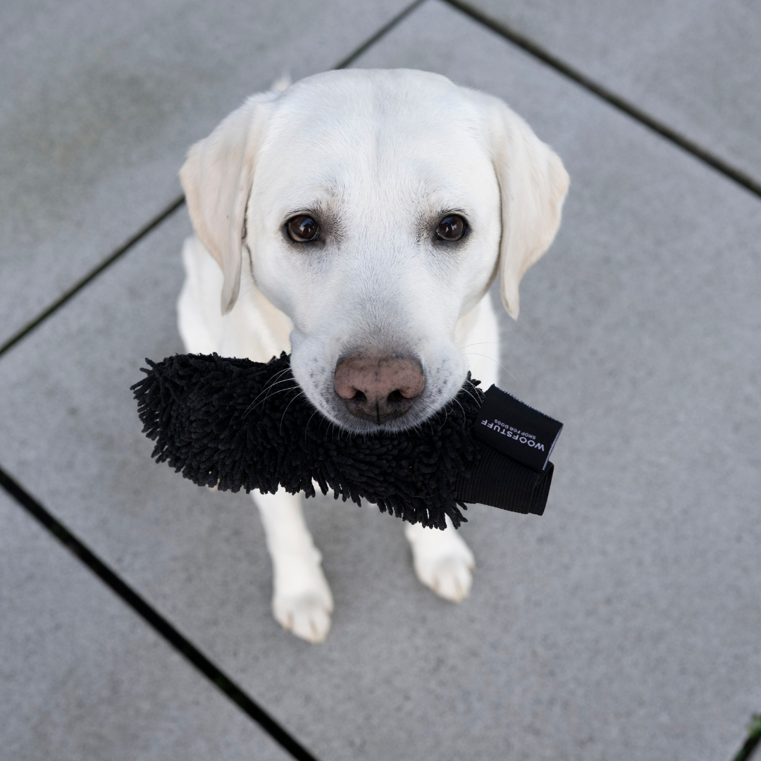 Dog Drying Glove Quick Dry Anthracite for wholesale on Faire4