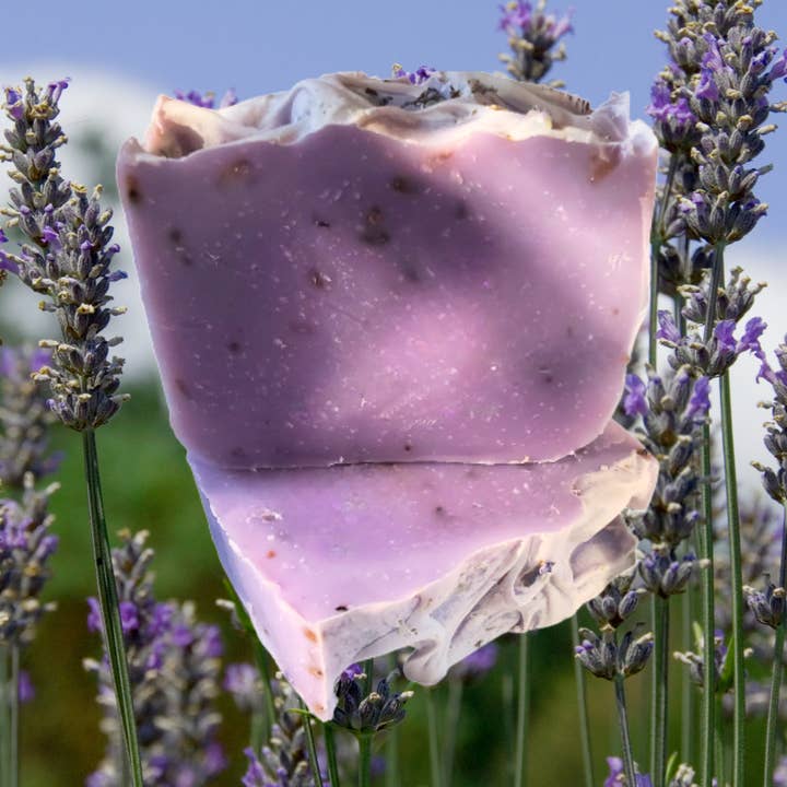 Lavender Sea Moss Soap Bar for wholesale by Sea Healing Moss