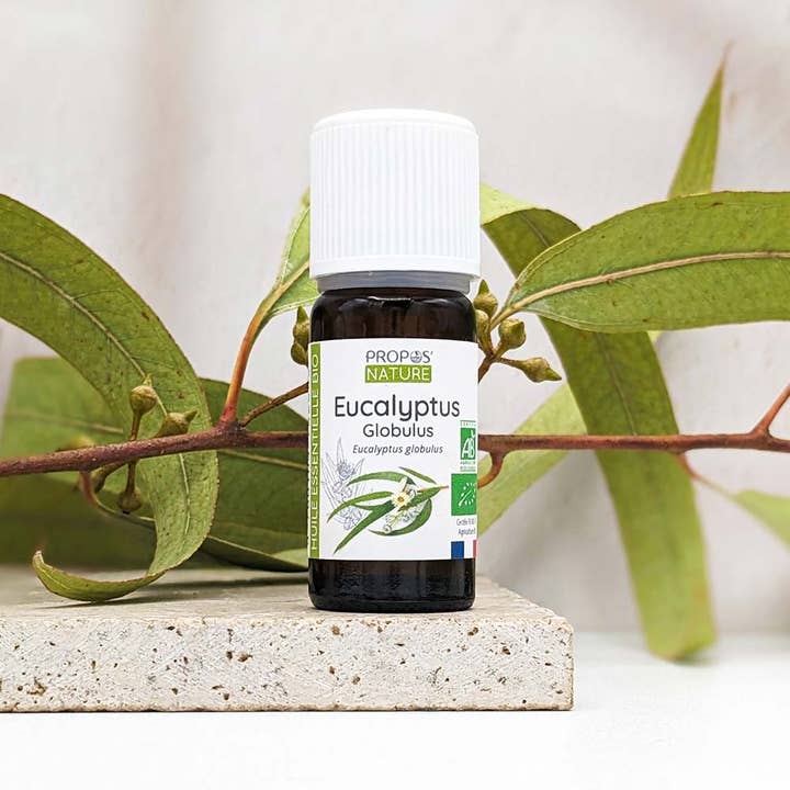 Propos'Nature - Wholesale Essential Oil - Organic Eucalyptus globulus Essential Oil 10ml1