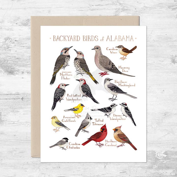 Wholesale Note Card: Backyard Birds of Alabama for wholesale by Kate Dolamore Art
