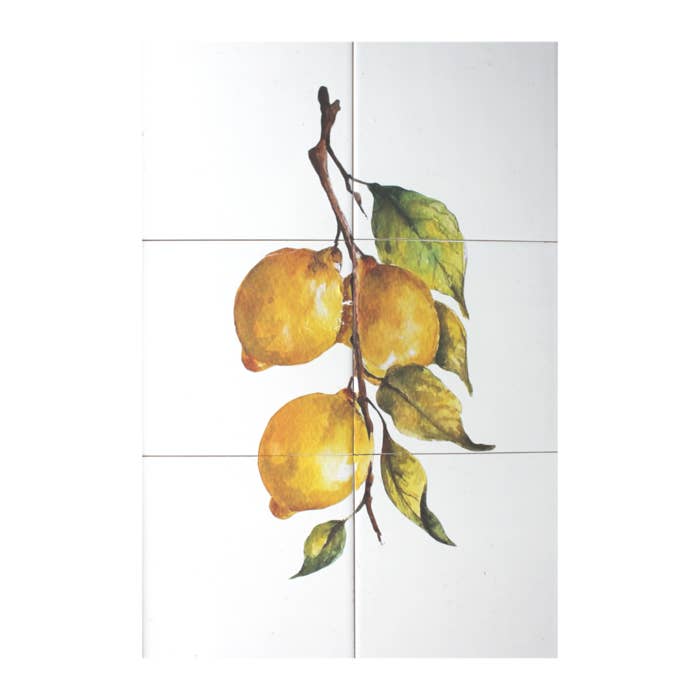 Lemon for wholesale by Fairytiles